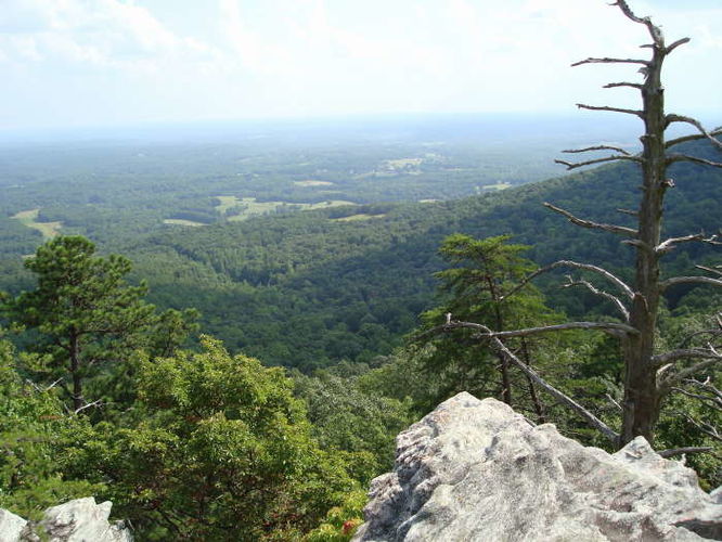 Picture 45 of 080509