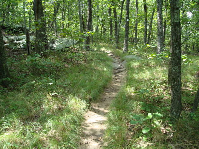 Picture 92 of 080509