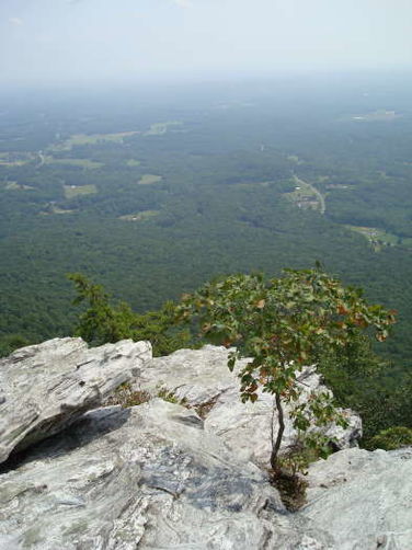 Picture 96 of 080509