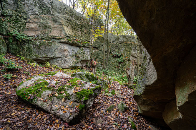 Cold Run Trail Spur (via Cold Run Road) - 09302024 album