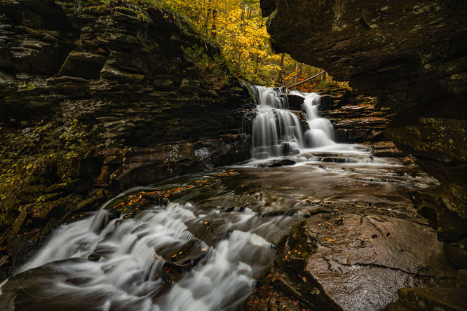 Default image for Pigeon Run & Atticus Falls, a 2.7-mile trail in Jamison City, PA (US)