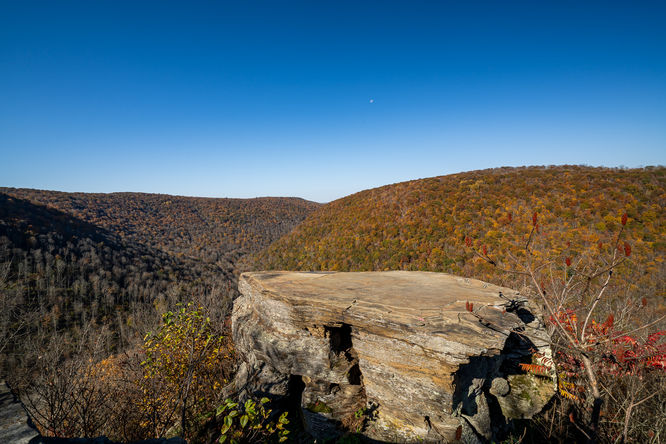 Porcupine Rock Lookout Hike - 10212024 album
