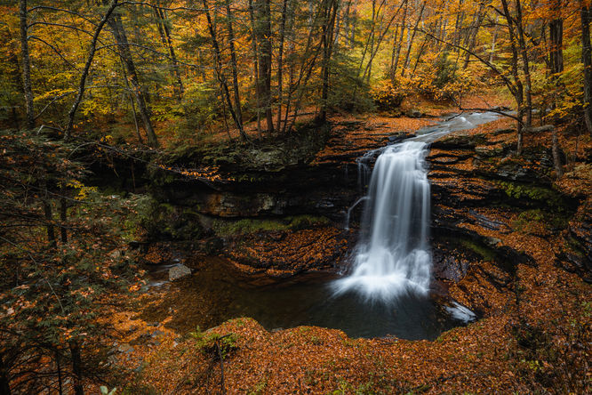 Lewis Falls
