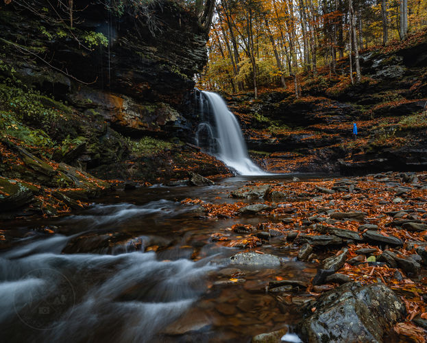 Lewis Falls