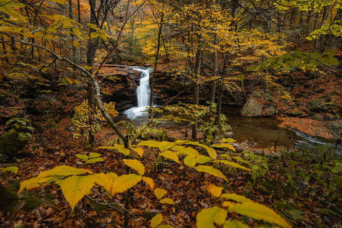 Upper Twin Falls 