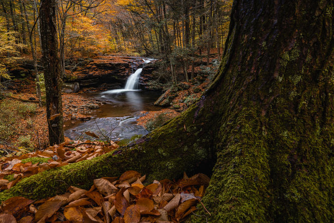 Upper Twin Falls 