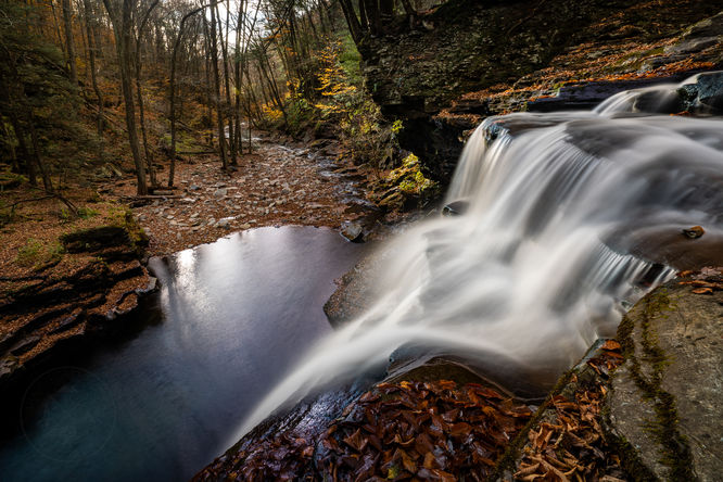 Lewis Falls 
