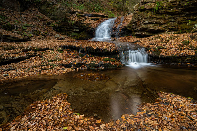 Quinn Falls 