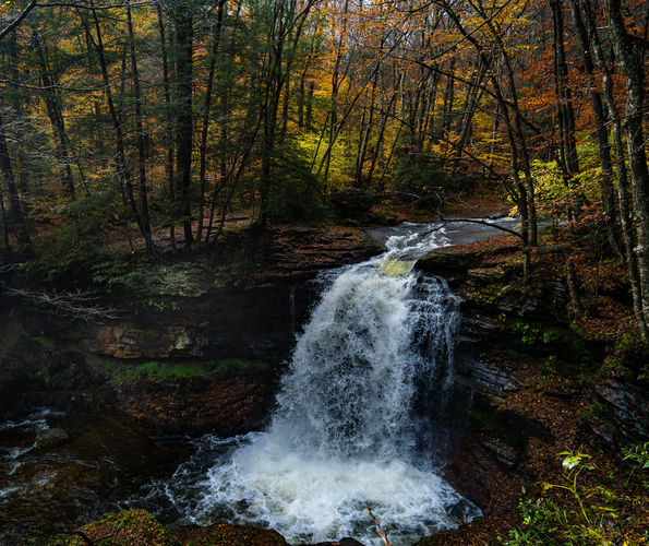 Lewis Falls