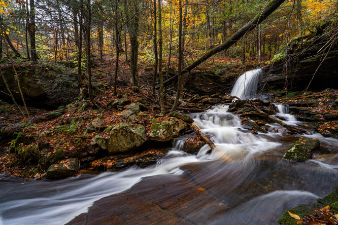 Shanty Run Falls