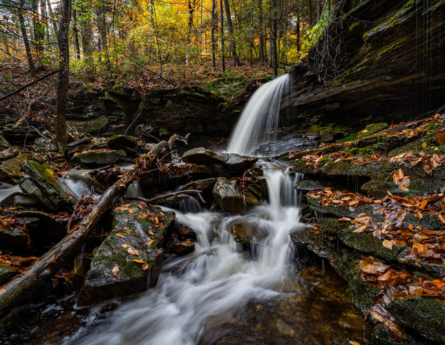 Shanty Run Falls