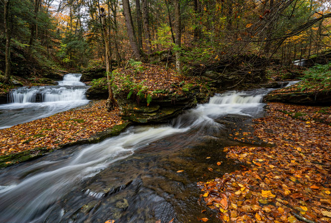 Quinn Falls 