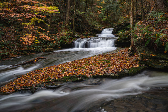 Quinn Falls 