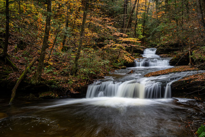 Quinn Falls 