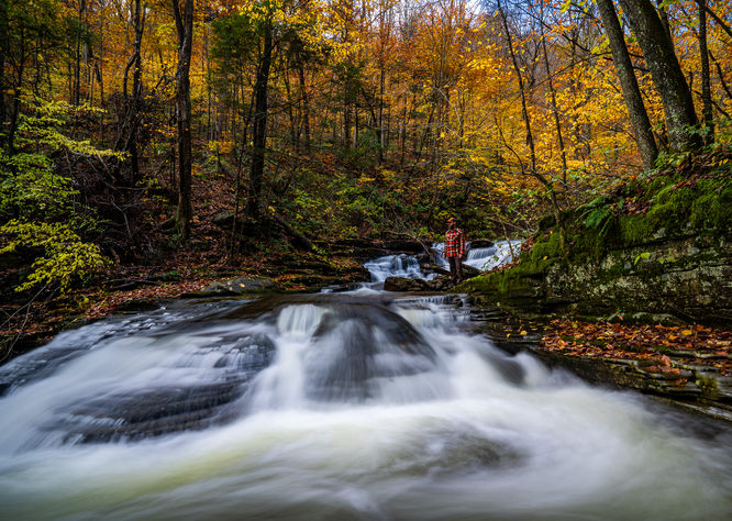 Foundation Falls 