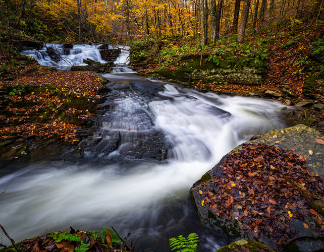 Foundation Falls 