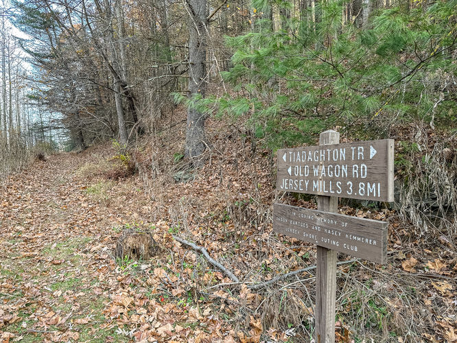 Trailhead just off the rail trail.  