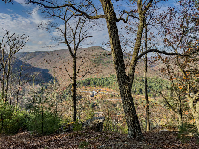 seasonal view