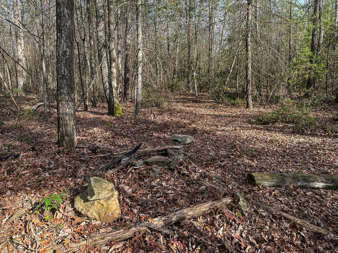 camp spot 