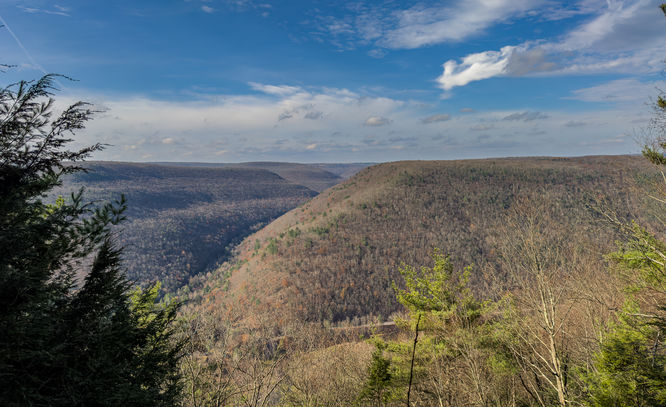 Default image for Tiadaghton Trail to Old Wagon Road Loop, a 4.5-mile trail in Waterville, PA (US)
