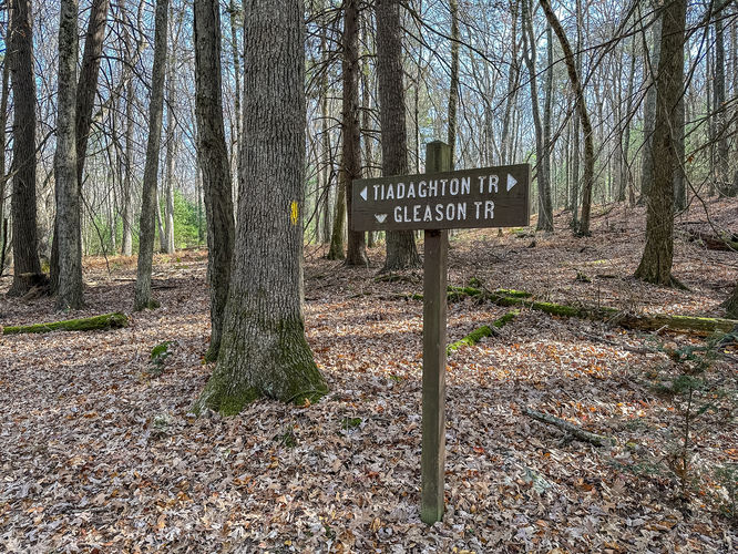 Gleason & Tiadaghton Trail 