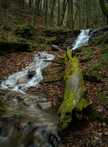 Lower Cascades