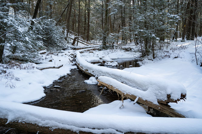 Picture 1 of 20251214