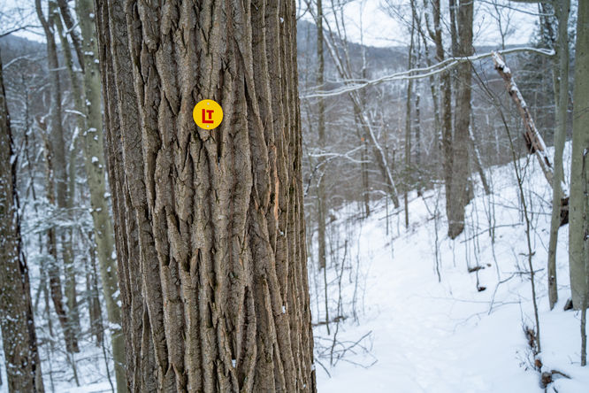 Picture 2 of 20251214