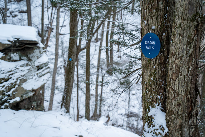 Picture 3 of 20251214