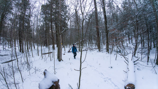 Picture 4 of 20251214