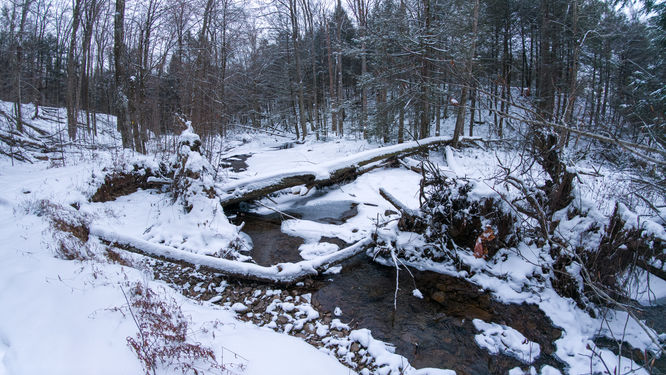 Picture 5 of 20251214