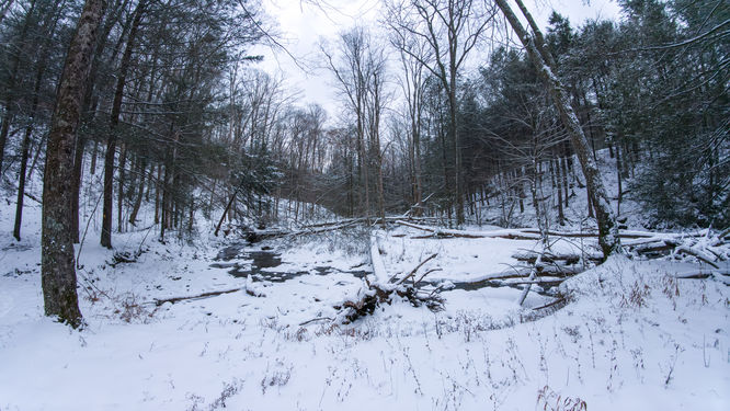 Picture 6 of 20251214