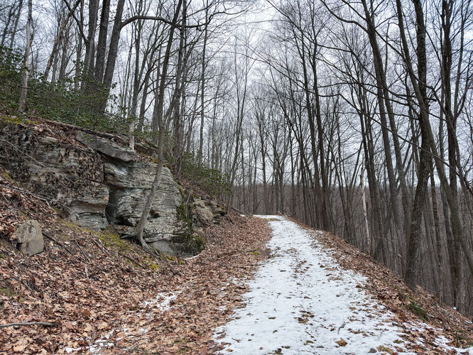 Picture 4 of 20251226