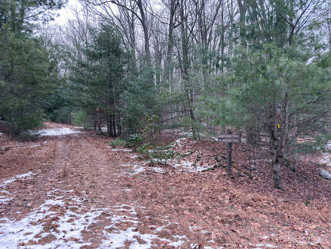 High Knob Splits away from the Bridle Trail