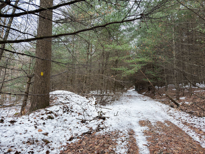 Picture 6 of 20251226