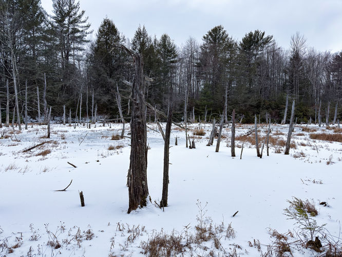 Picture 9 of 20251226