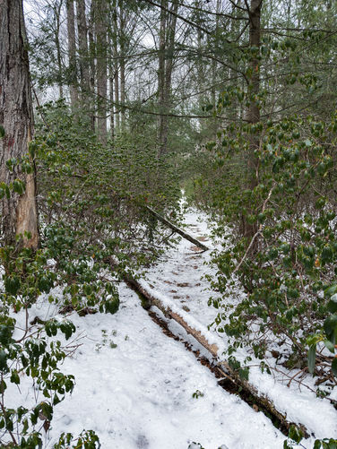 Picture 10 of 20251226