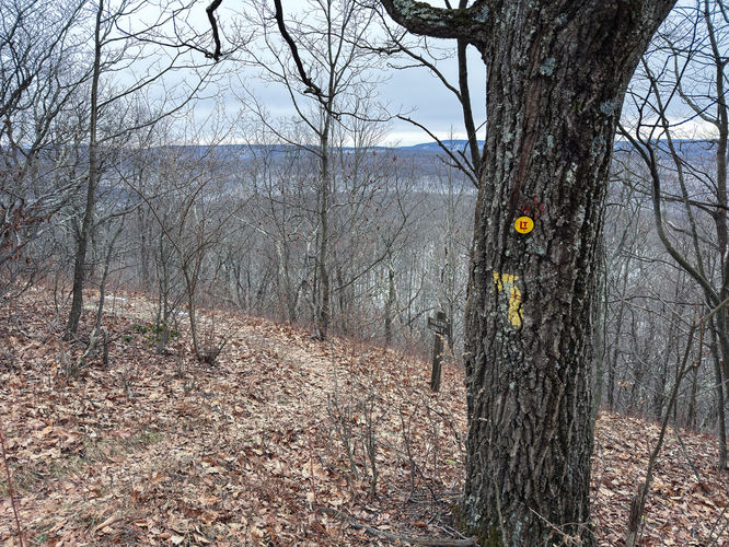 Loyalsock Trail descends from High Knob Road