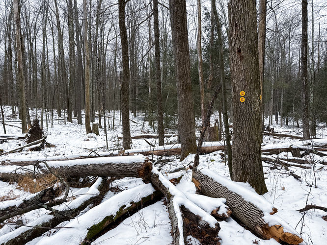 Picture 15 of 20251226