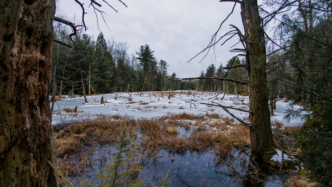 Picture 17 of 20251226