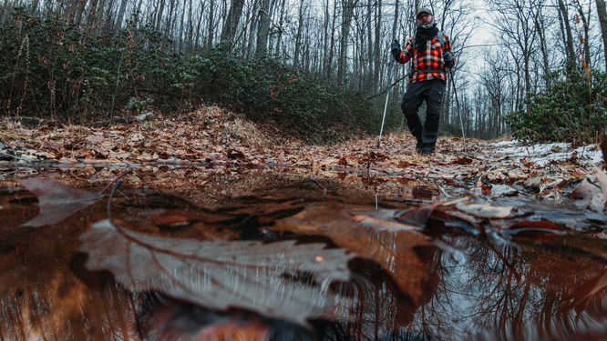 Picture 19 of 20251226