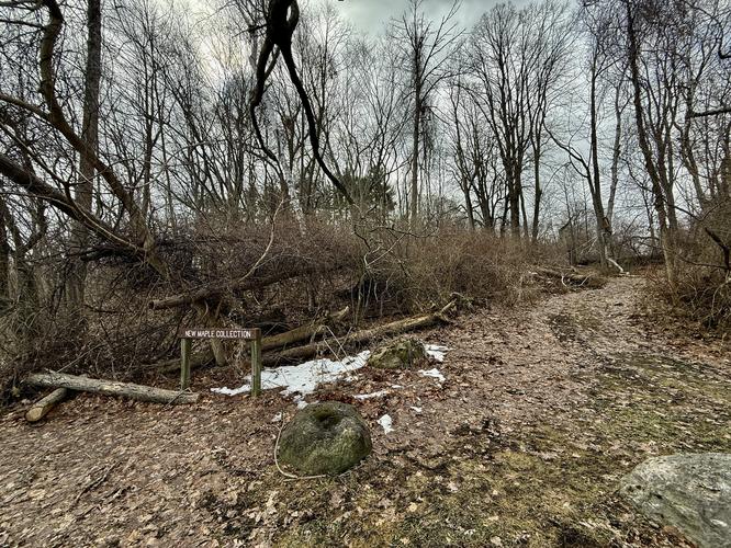 Eastman Lake Loop Hike - 20260308T215506Z album