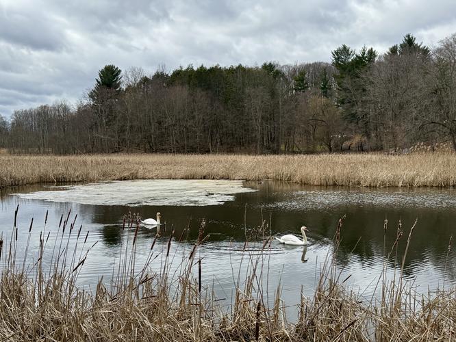 Eastman Lake Loop Hike - 20260308T215506Z album