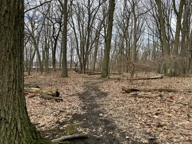 Turning Point Falls & Genesee River Boardwalk - 20260308T221843Z album