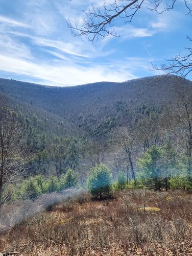 Picture 5 of 20260309T140043Z