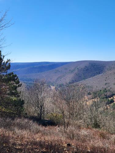 Picture 4 of 20260309T140043Z