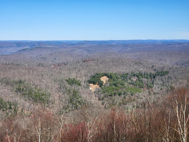 Picture 3 of 20260309T140043Z