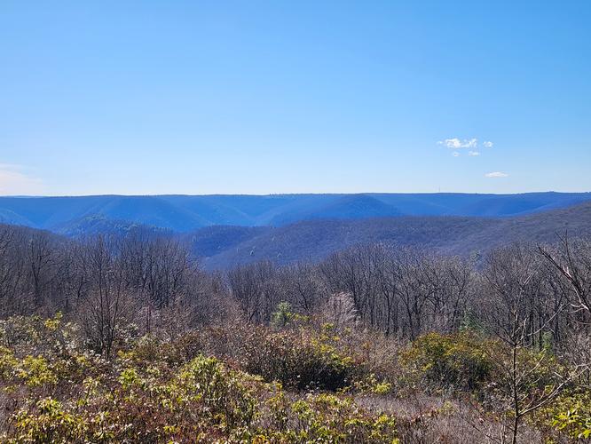 Picture 2 of 20260309T140043Z