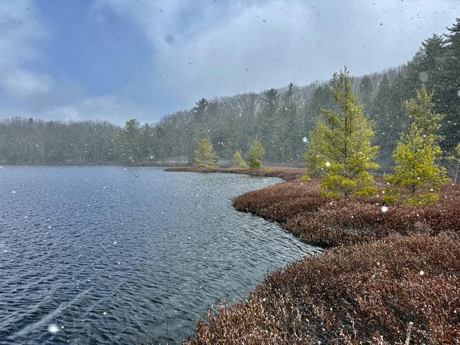 Moss Lake Loop Trail - 20260328T191125Z album