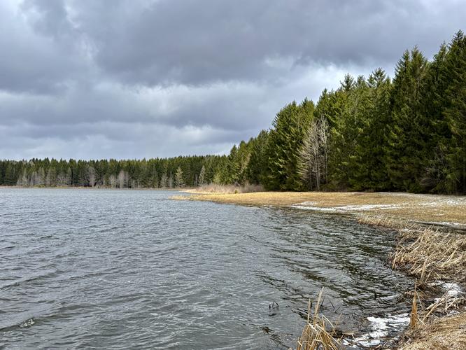 Allen Lake Trail - 20260328T192735Z album